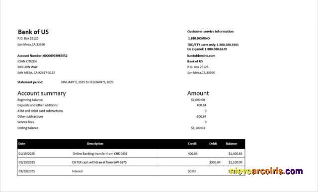 USA Bank of US account statement Word and PDF